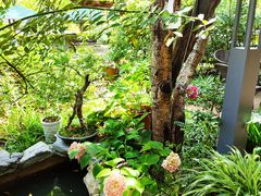 -谷咖啡·鲜花绿植花园餐厅