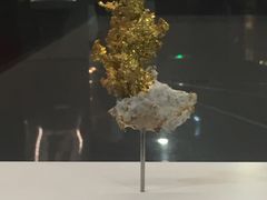 -自然博物馆新馆2楼餐厅