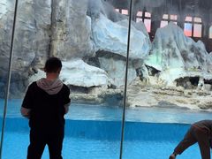 -帝企鹅自助餐厅•儿童岛•真企鹅(长隆企鹅酒店)