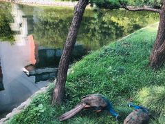 -西郊宾馆·1921餐厅