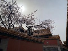 -故宫博物院(故宫)