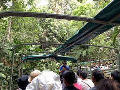 -热带雨林自然公园