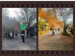 -三千院