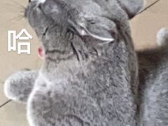 -茶米人台湾料理·精致快简餐