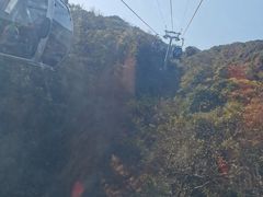 -普陀山慧济禅寺