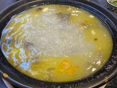 -草墩罗非鱼庄•野生菌•腊排骨(七星街上段店)