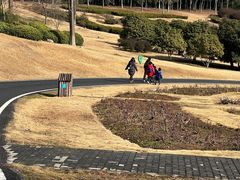 -宜兴龙背山森林公园