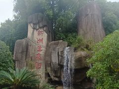 -新洲生态园