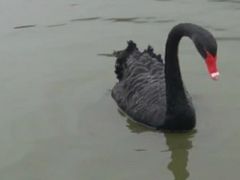 -无锡动物园·太湖欢乐园