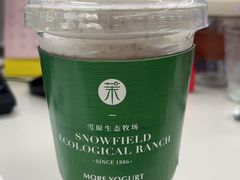 杏仁酸奶奶昔-茉酸奶(春熙路店)