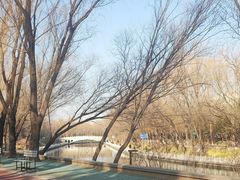 -南长河公园