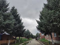-哈拉新村