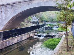 -白水寺森林公园