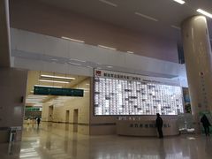 -中国人民解放军总医院(301医院)