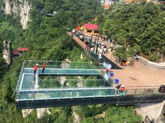 -梦幻奥陶纪景区