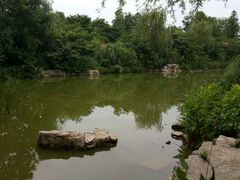 -习家池