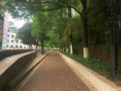 -白沙古井