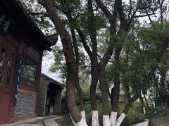 -八大山人梅湖景区