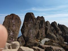 -白草畔自然风景区