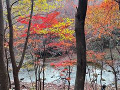 -本溪老边沟风景区