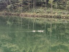 -丹东天桥沟景区