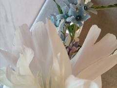 -南堂馆·新川菜(春熙路店)