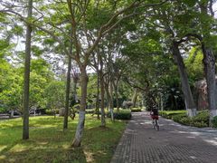 -厦门大学(思明校区)