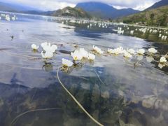 -丽江泸沽湖景区