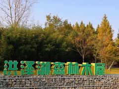 -泗洪洪泽湖湿地景区