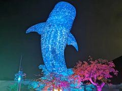 -珠海长隆海洋王国