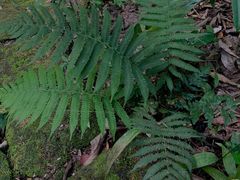 -水濂山森林公园