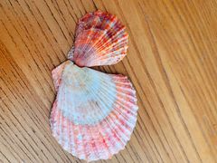 -青岛银沙滩温德姆至尊酒店