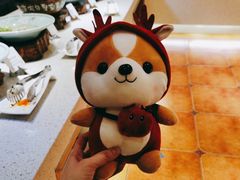 -望江宾馆-普吉岛餐厅