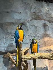 -Zoolung Zoolung动物主题公园(海信广场店)