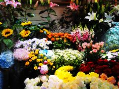 -爱尚幸福鲜花(上地实体店)