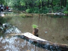 -玉渡山自然风景区