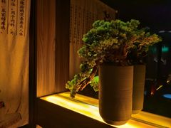 -江南足纪·影院足道·轻奢SPA(笋岗HALO广场店)
