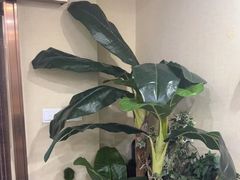 -凯平棋牌会所(永惠大厦店)