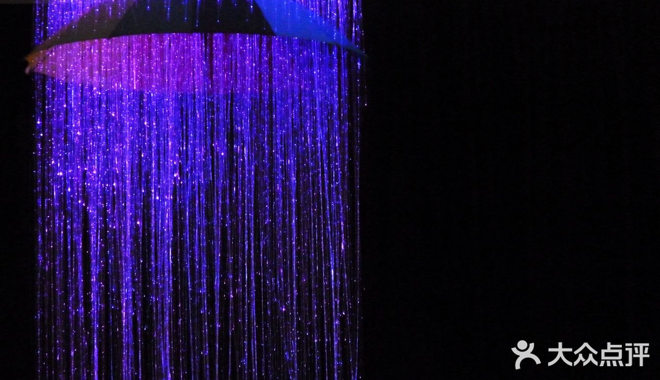 这次展不用门票，坐标原美术馆  作品雨伞的直径是1