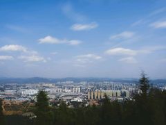 景点-长虫山生态公园风景林