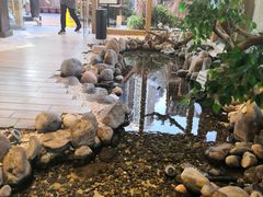 -生如夏花泰式火锅(鹭洲里店)