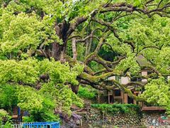-小乡小镇·传承桐庐土菜·老板亲自烧的菜