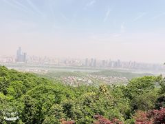 -岣嵝峰国家森林公园