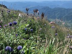 -白草畔自然风景区
