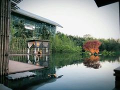 包房-龙吟九品(青龙山庄店)