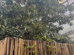 -美味之家·湖景农家乐(太湖东山店)