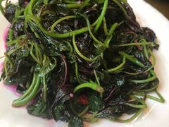 -福照楼汽锅鸡·云南菜(护国路店)