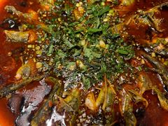 黄辣丁-悦百味·品质川菜(橄榄郡店)