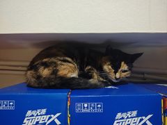 -黔府豆米火锅野菜馆(南马店)