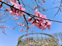 -水峪民俗村